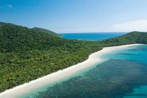 Wildlife & Rainforests